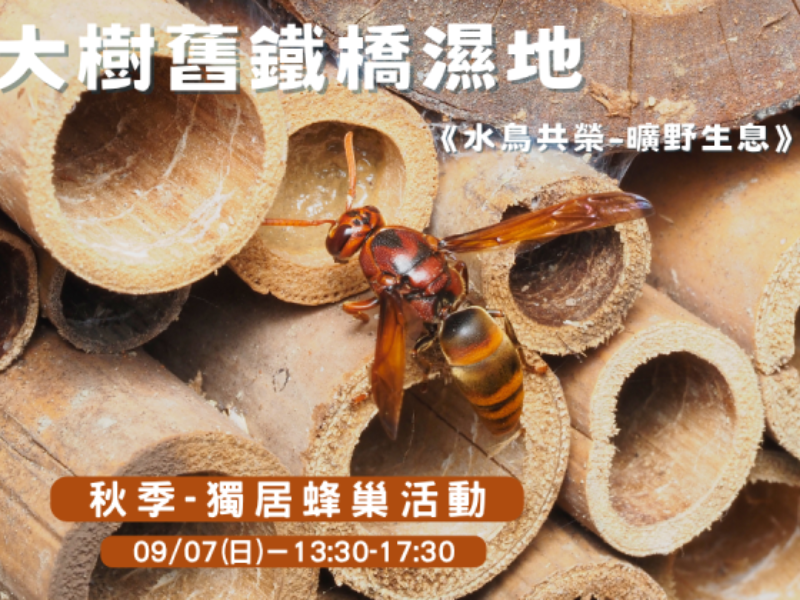 9/7《水鳥共榮-曠野生息》- 秋季活動～🐝 獨居蜂巢活動